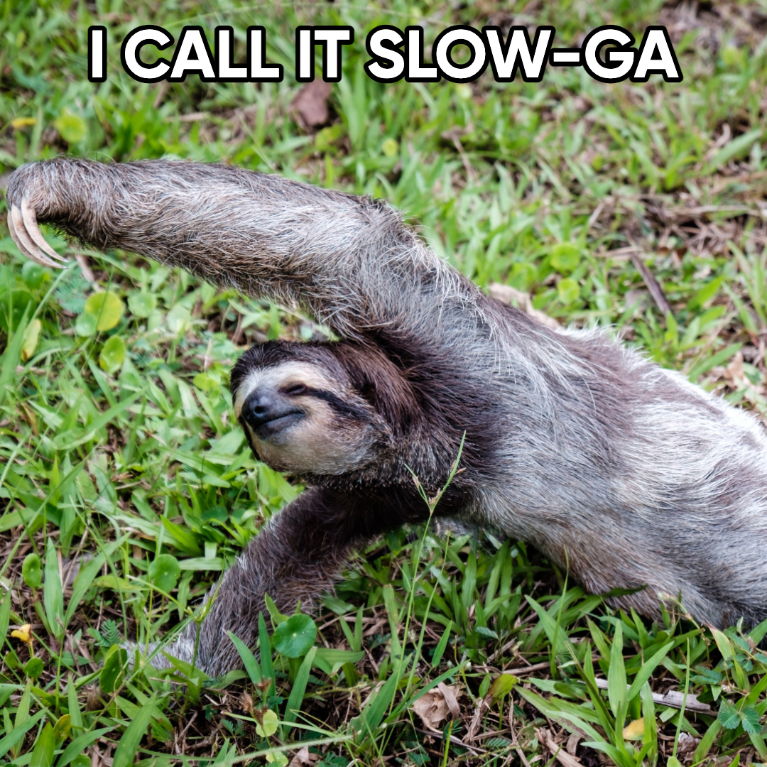 Chill-out Yoga Sloth Social Media Post