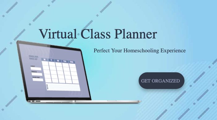 Sleek Blue Virtual Class Planner Ad