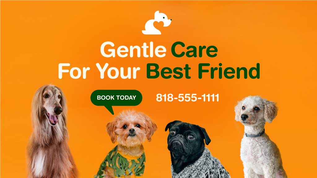 Cheerful Orange Pet Care Service Ad