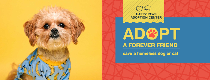 Sunny Yellow Pet Adoption Poster Design