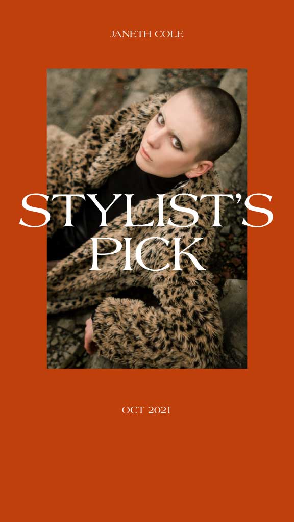 Chic Autumn Fashion Poster in Earth Tones