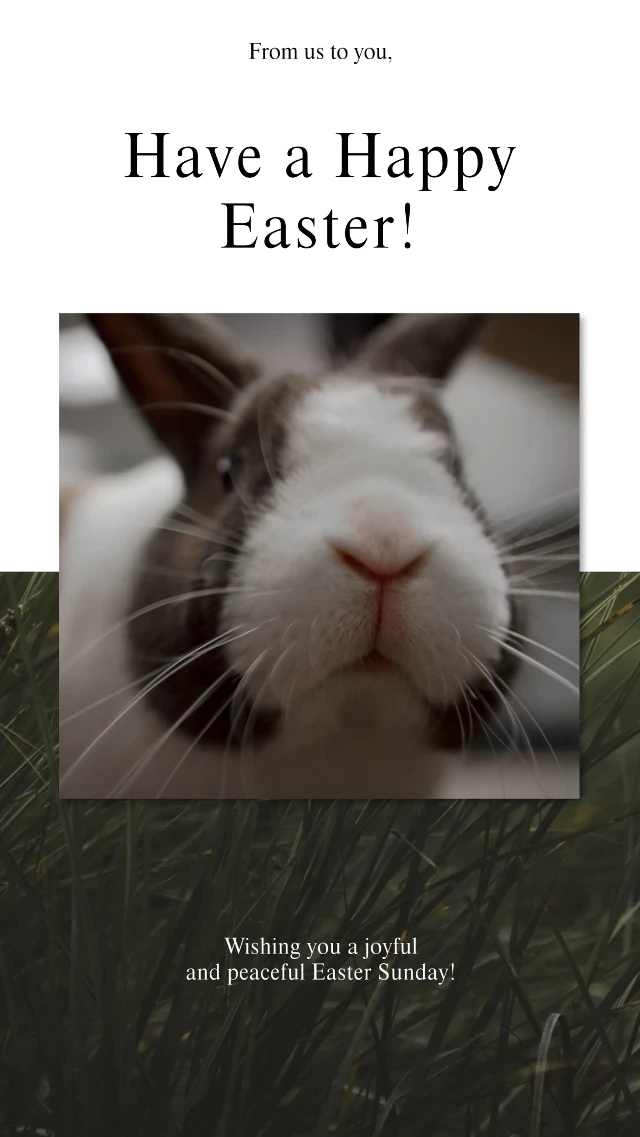 Template Cheerful Easter Bunny Post for Social Media