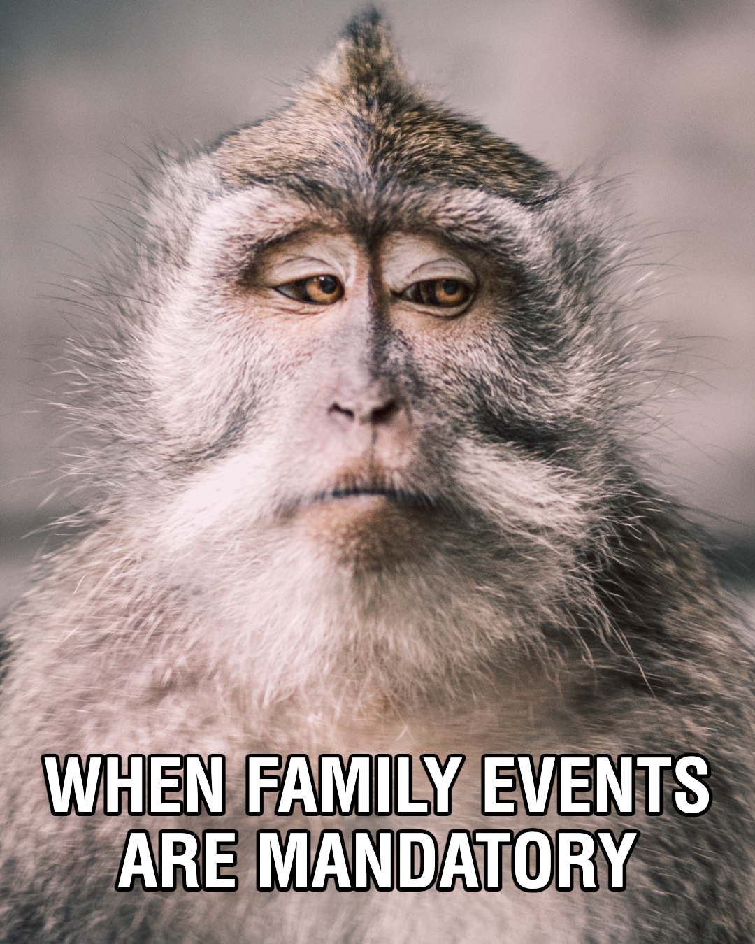 Mandatory Family Gathering Light-Hearted Poster