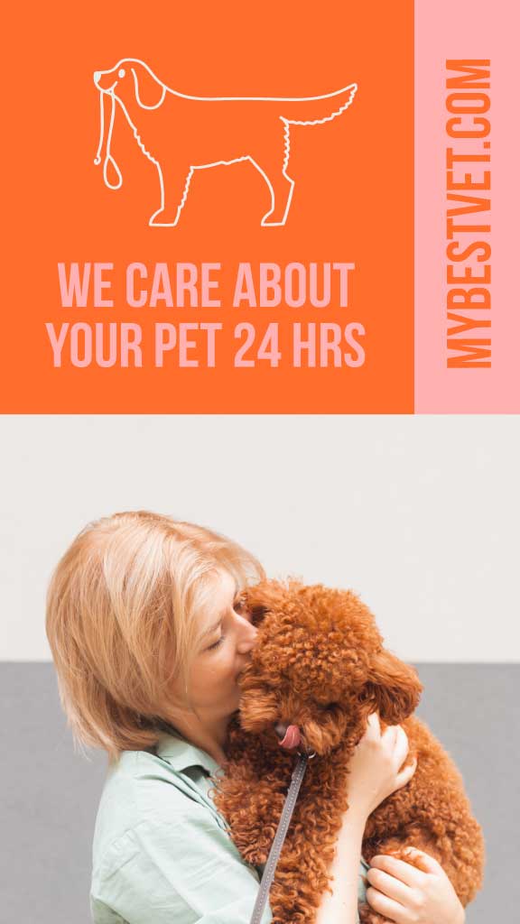 Template 24/7 Pet Care Services Ad Peach Apricot