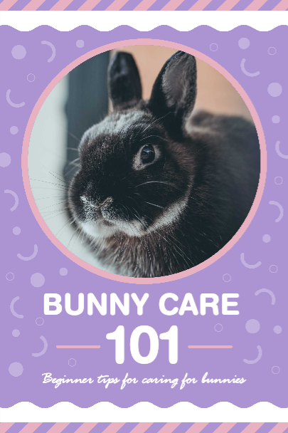 Purple Bunny Care Guide Poster Design