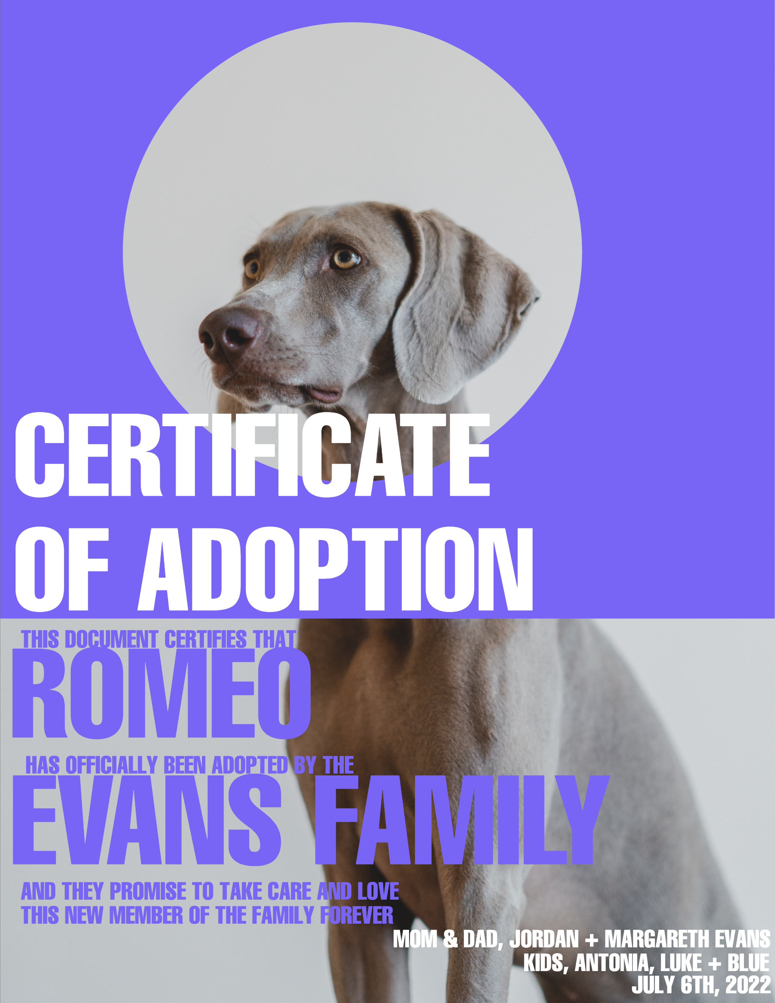 Heartwarming Pet Adoption Certificate Template in Purple