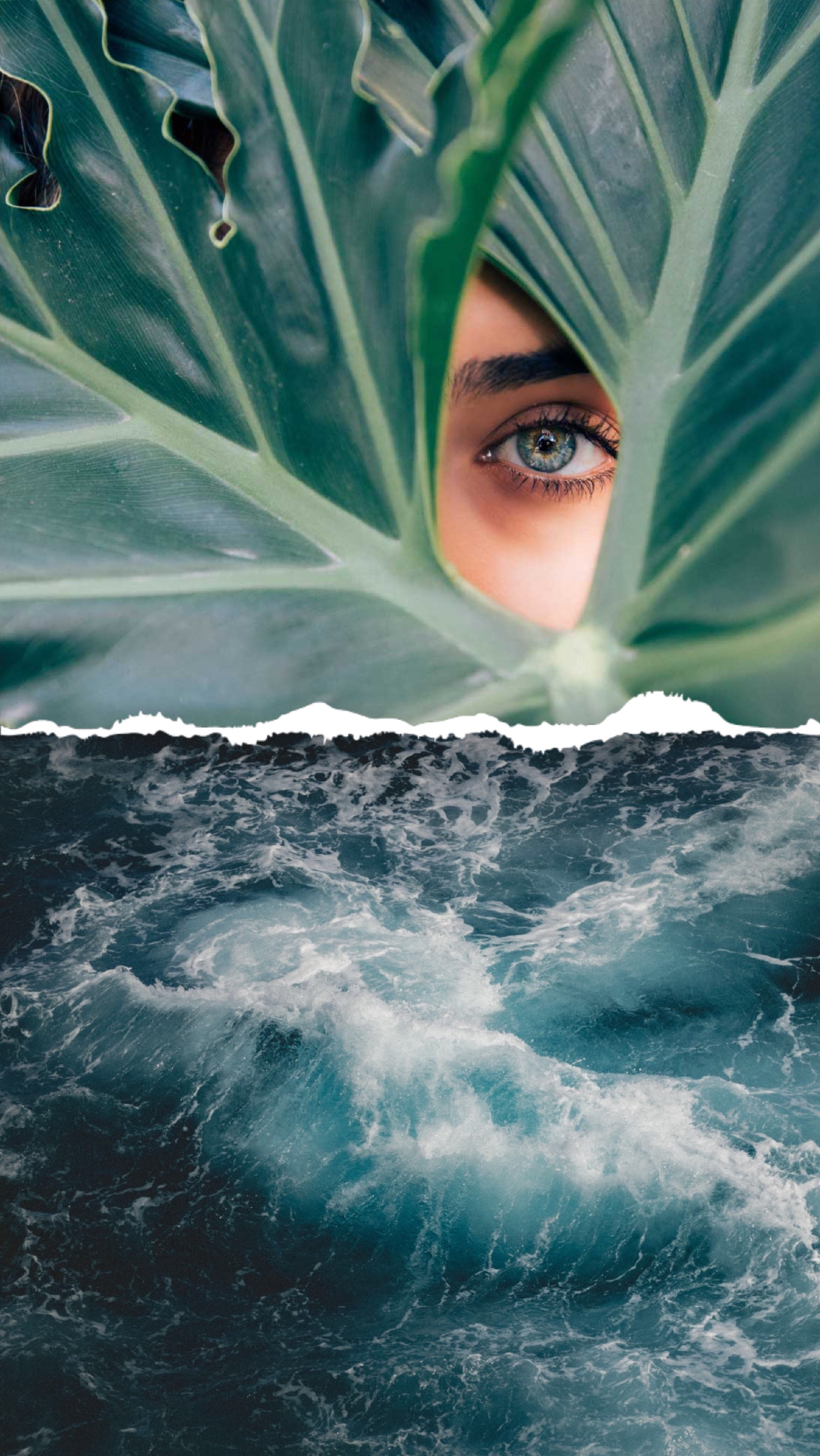 Template Mysterious Ocean Waves Poster Design