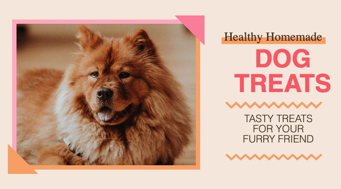 Homemade Dog Treats Ad Design in Coral and Pink