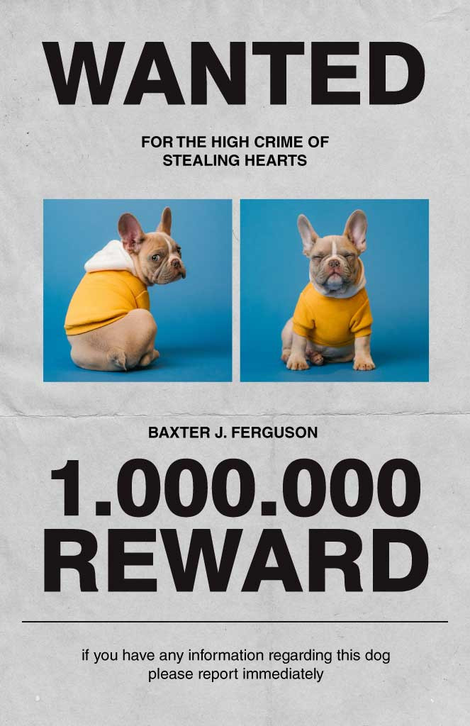 Template Humorous Wanted Poster with Yellow and Blue Tones