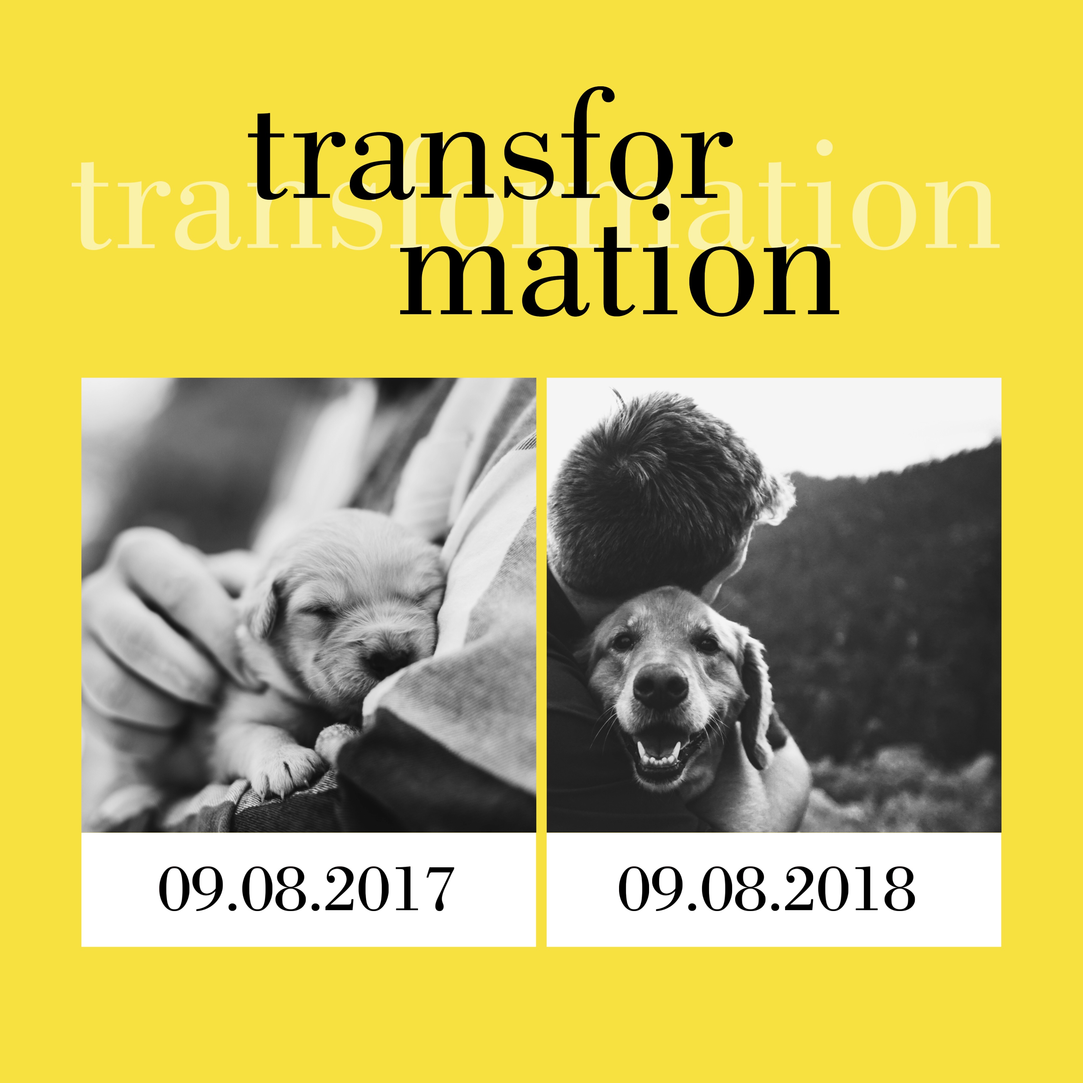 Bold Yellow Transformation Theme Poster Design