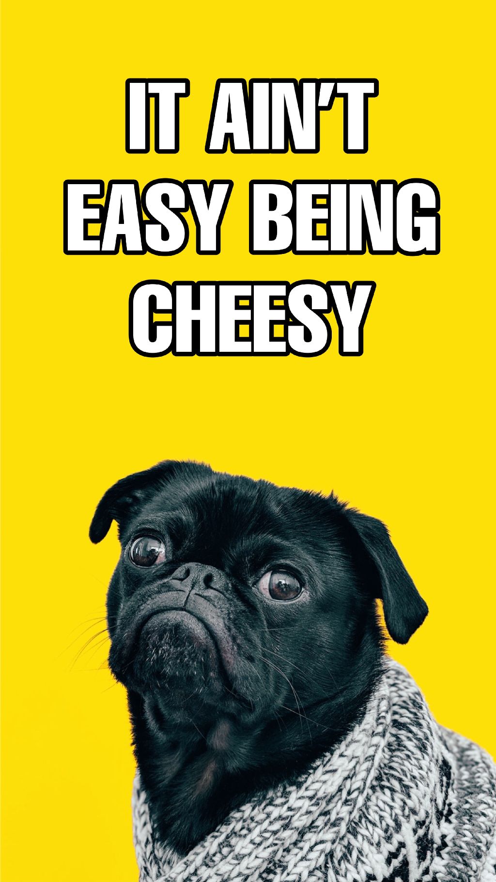 Yellow Bold Humorous Dog Poster Design