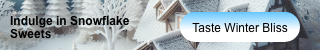 Winter Bliss Snowflake Web Ad Banner