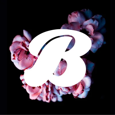 Template Elegant Floral Logo Dark Background Poster