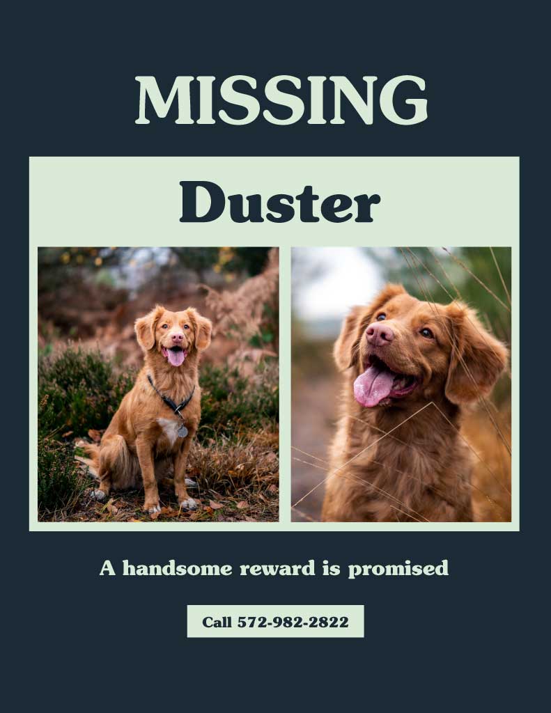 Eye-Catching Sage Green Missing Pet Poster