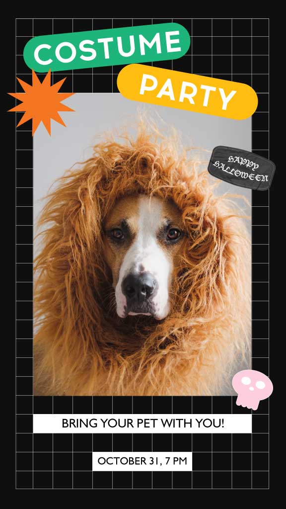 Orange Black Pet Costume Party Poster