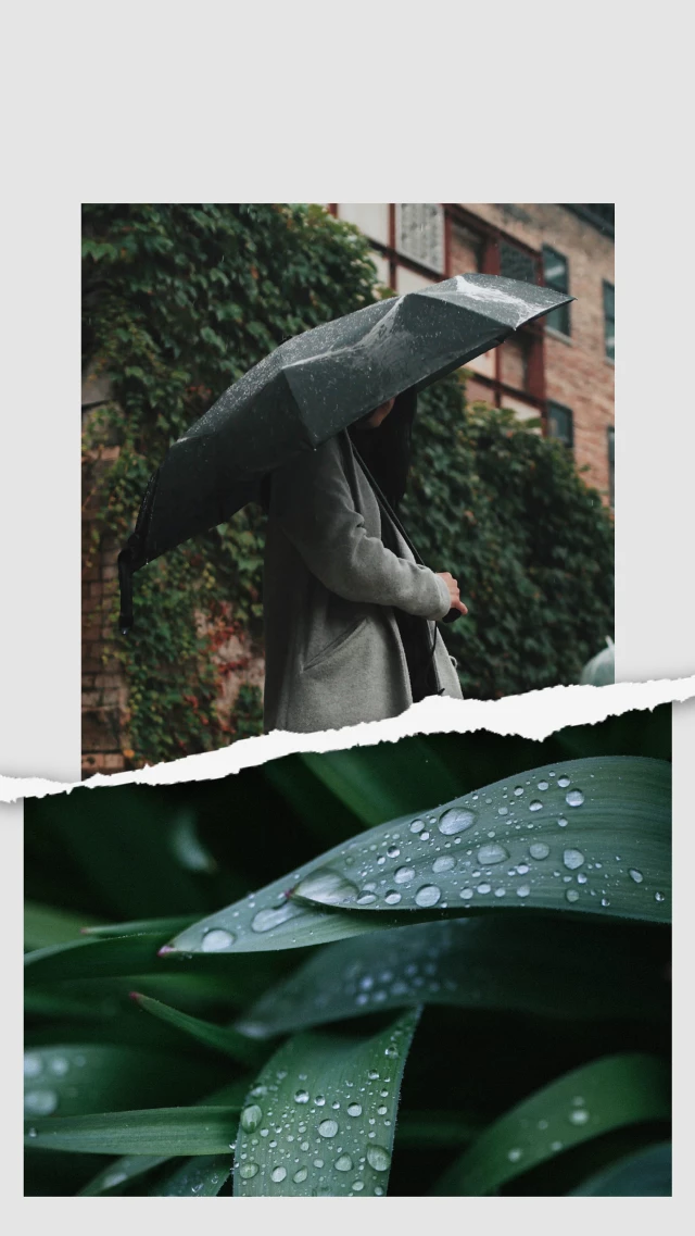 Rainy Day Elegance Poster in Grey and Green