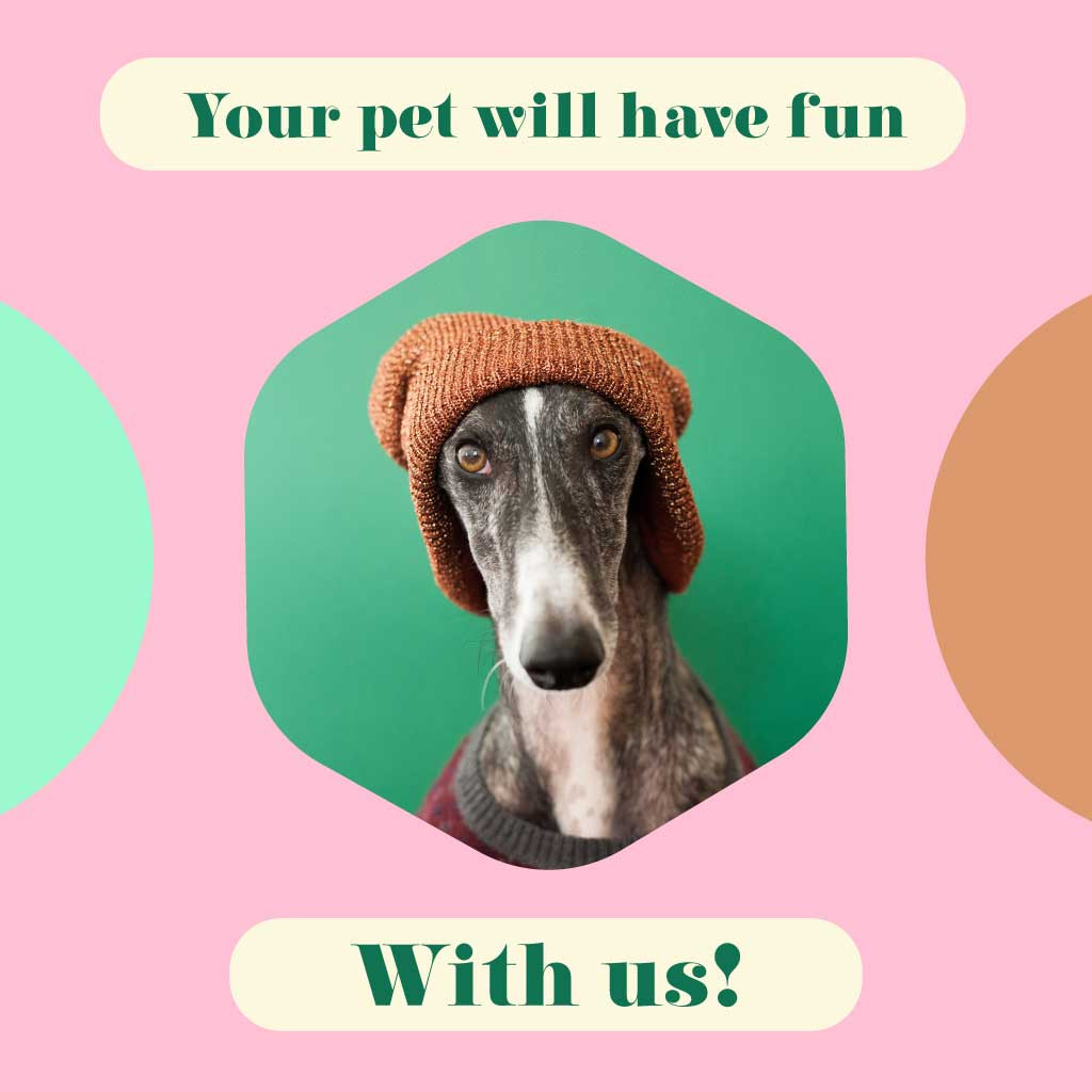 Template Cheerful Green and Pink Pet Care Ad