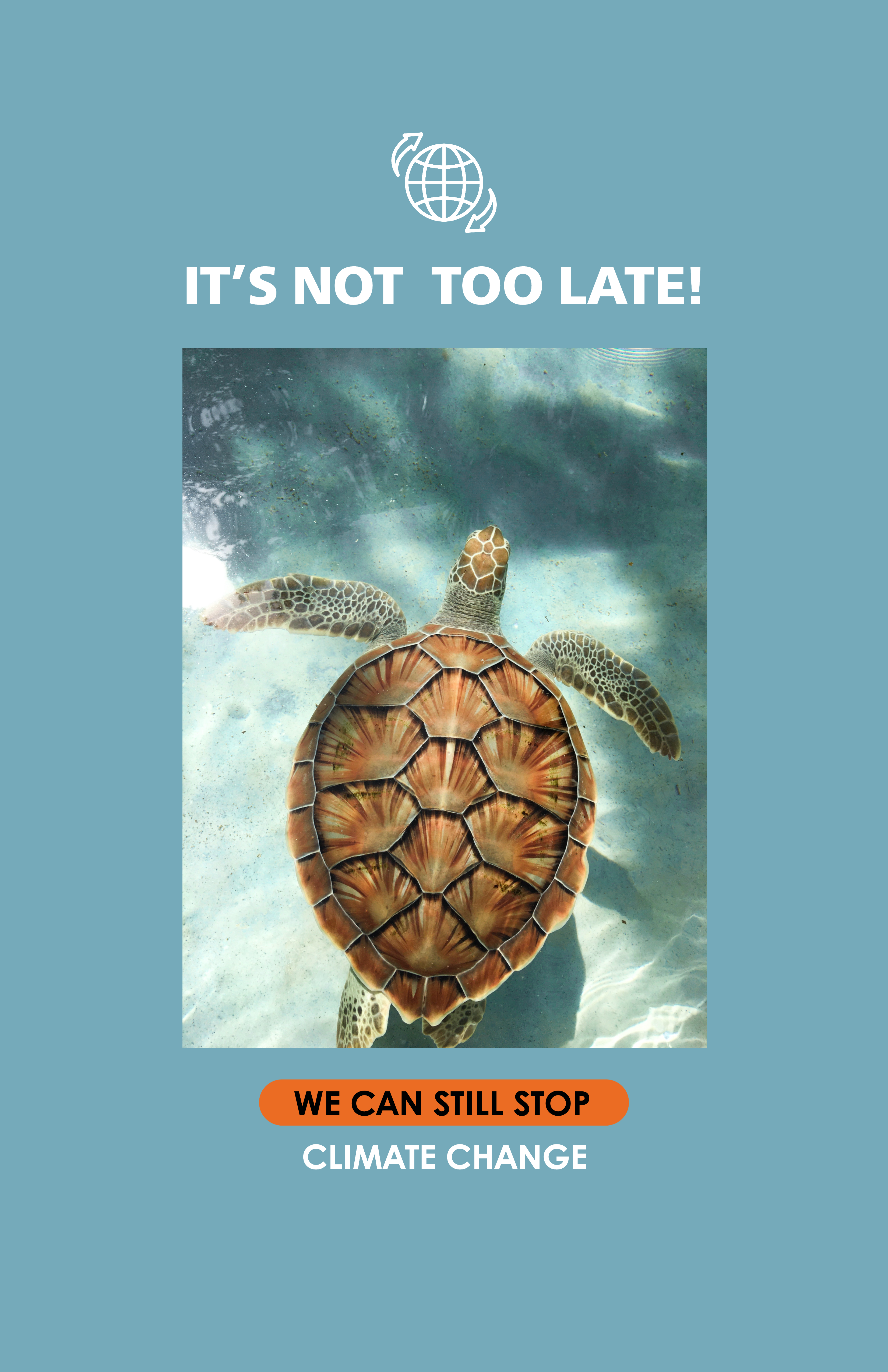 Ocean Blue Turtle Conservation Poster Design