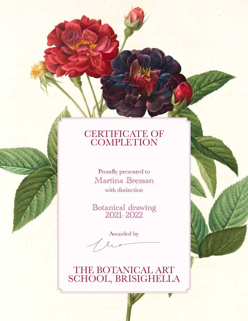 Template Elegant Botanical Art Certificate Template Design