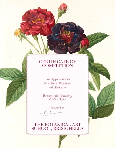 Template Elegant Botanical Art Certificate Template Design