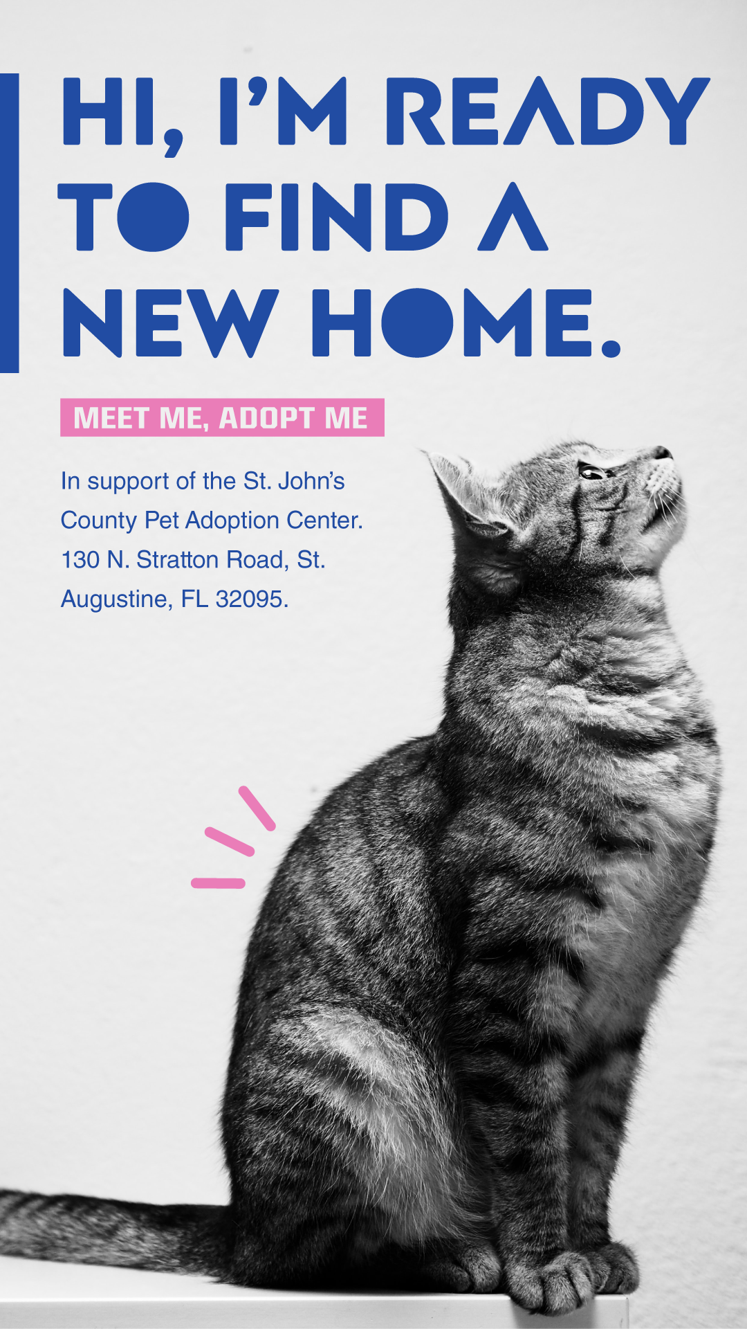 Adopt a Pet Blue and Pink Poster Design