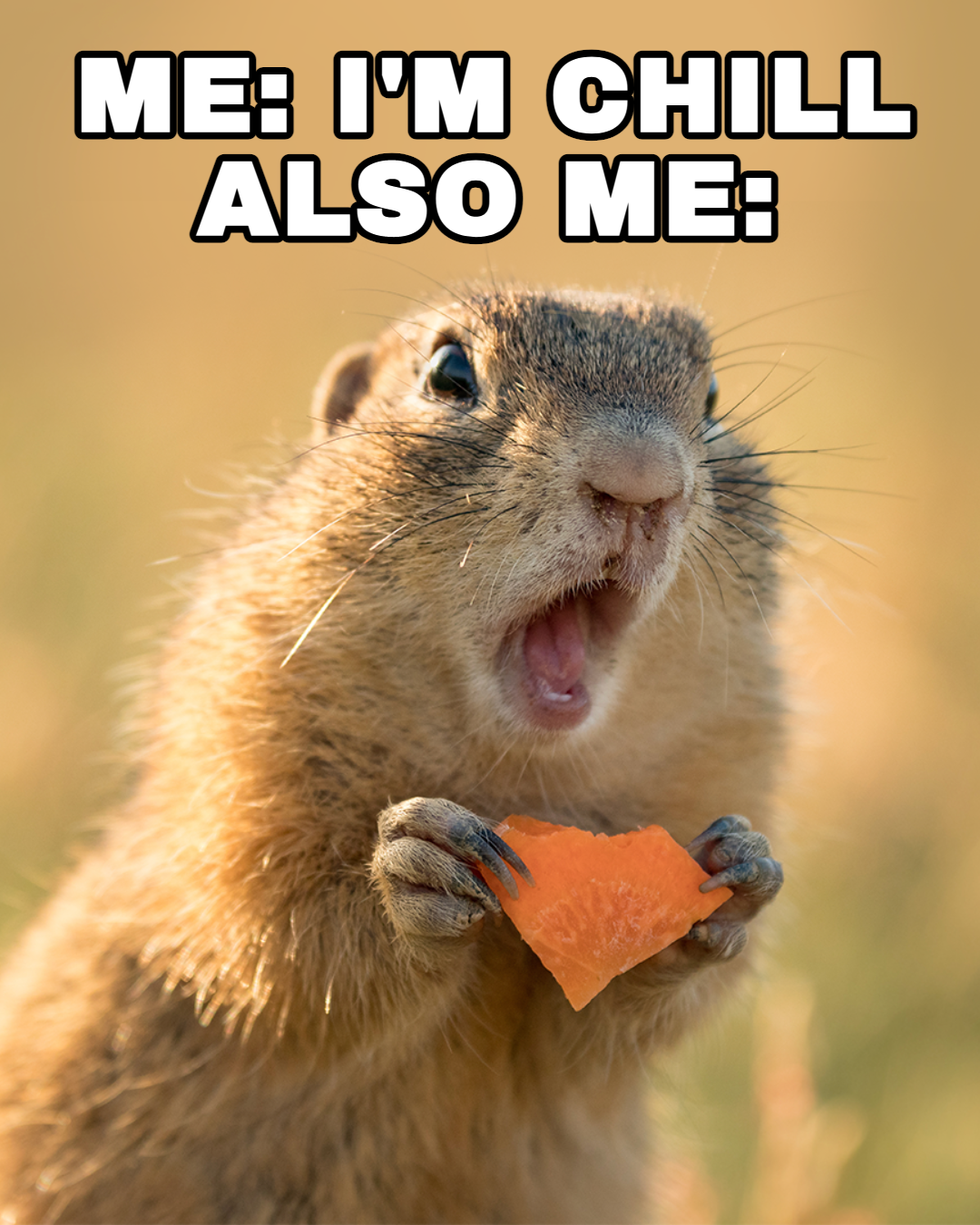 Orange Delight Prairie Dog Social Post