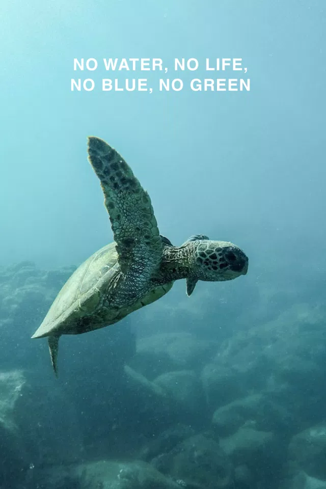 Serene Blue Ocean Poster with Turtle