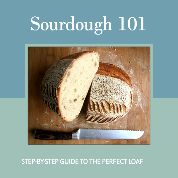 Sourdough Starter Guide Rustic Poster Design