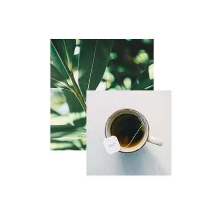 Template Serene Green Tea Break Social Media Post