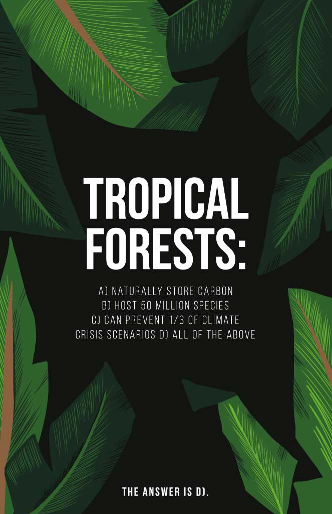 Template Lush Green Tropical Forests Educational Poster