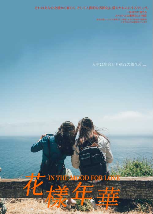 Cerulean Seascape Friendship Poster Design