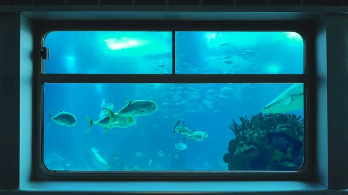 Template Underwater Bliss Aquarium Poster Design Blue