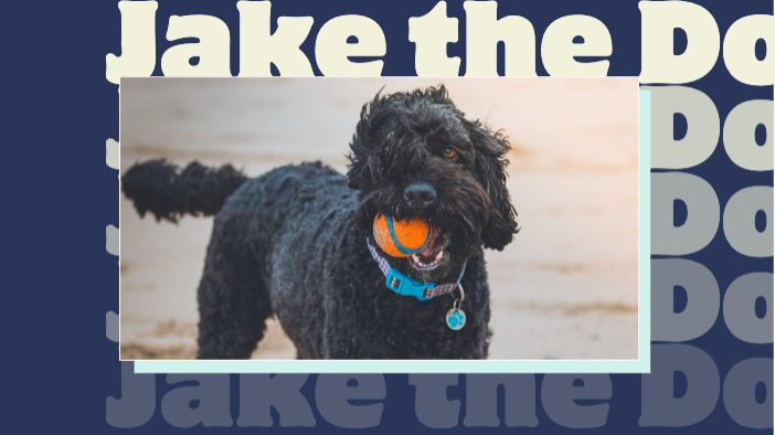 Template Playful Pooch Blue Post Template