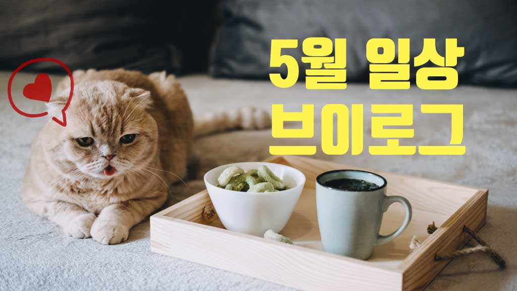 Cozy Cat Cafe Promotion Poster in Yellow