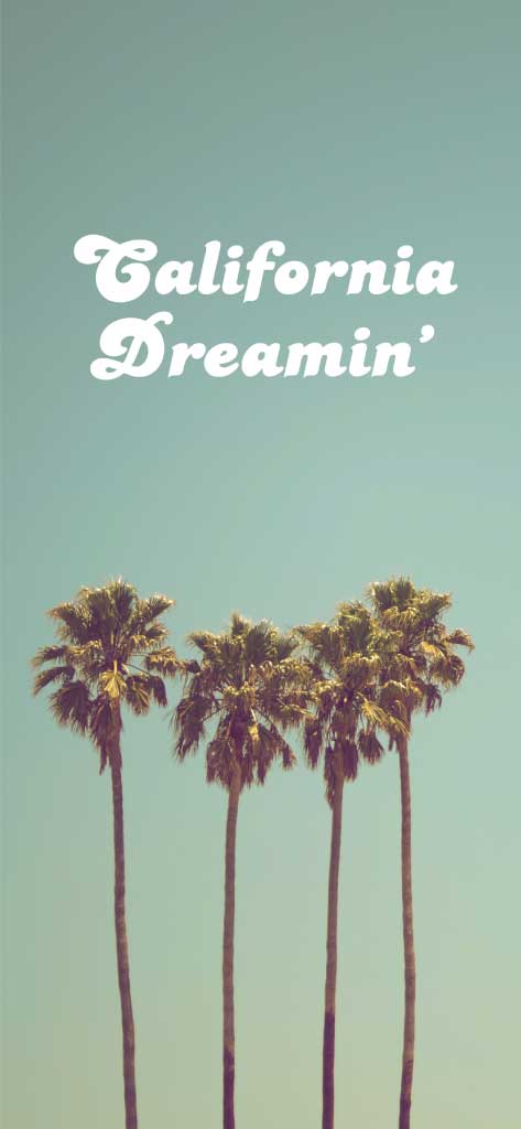 Sunny California Dreamin' Poster Template