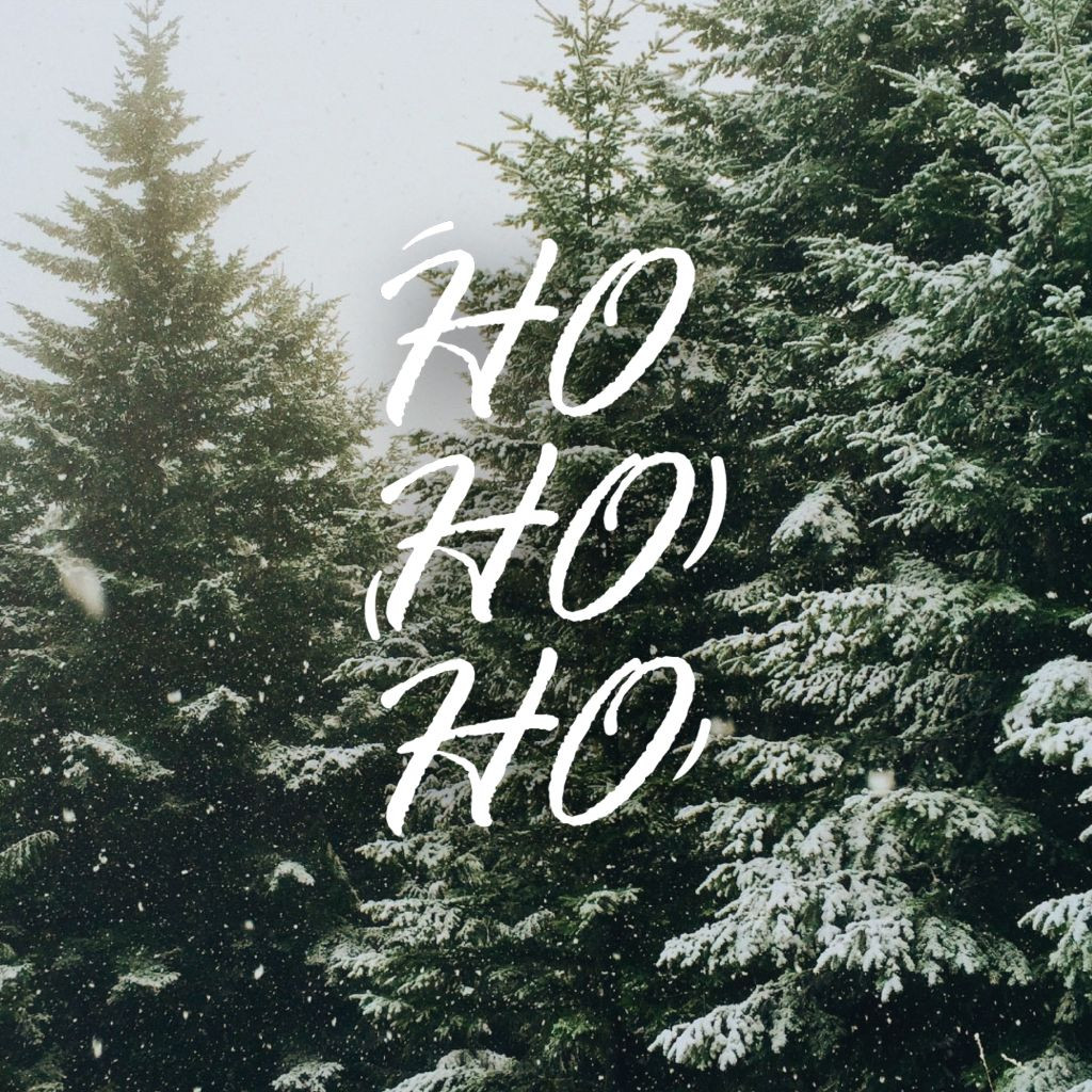 Template Snowy Winter Wonderland Holiday Post