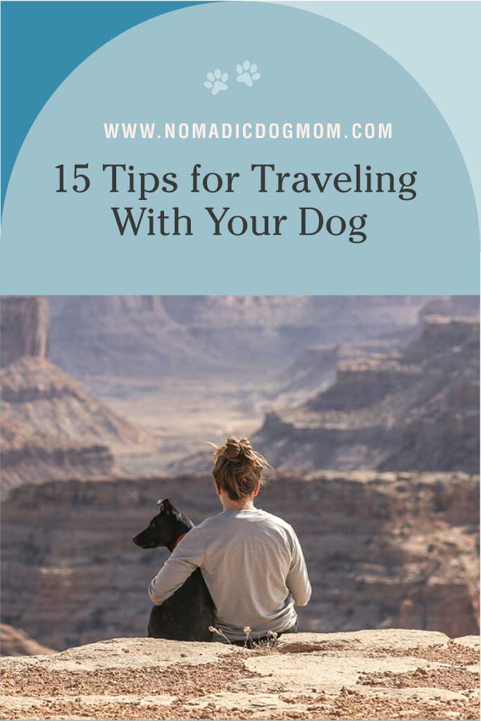 Template Desert Adventure Dog Travel Poster Design