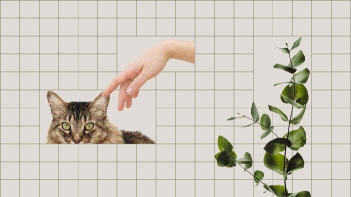 Template Charming Beige Cat and Plant Poster