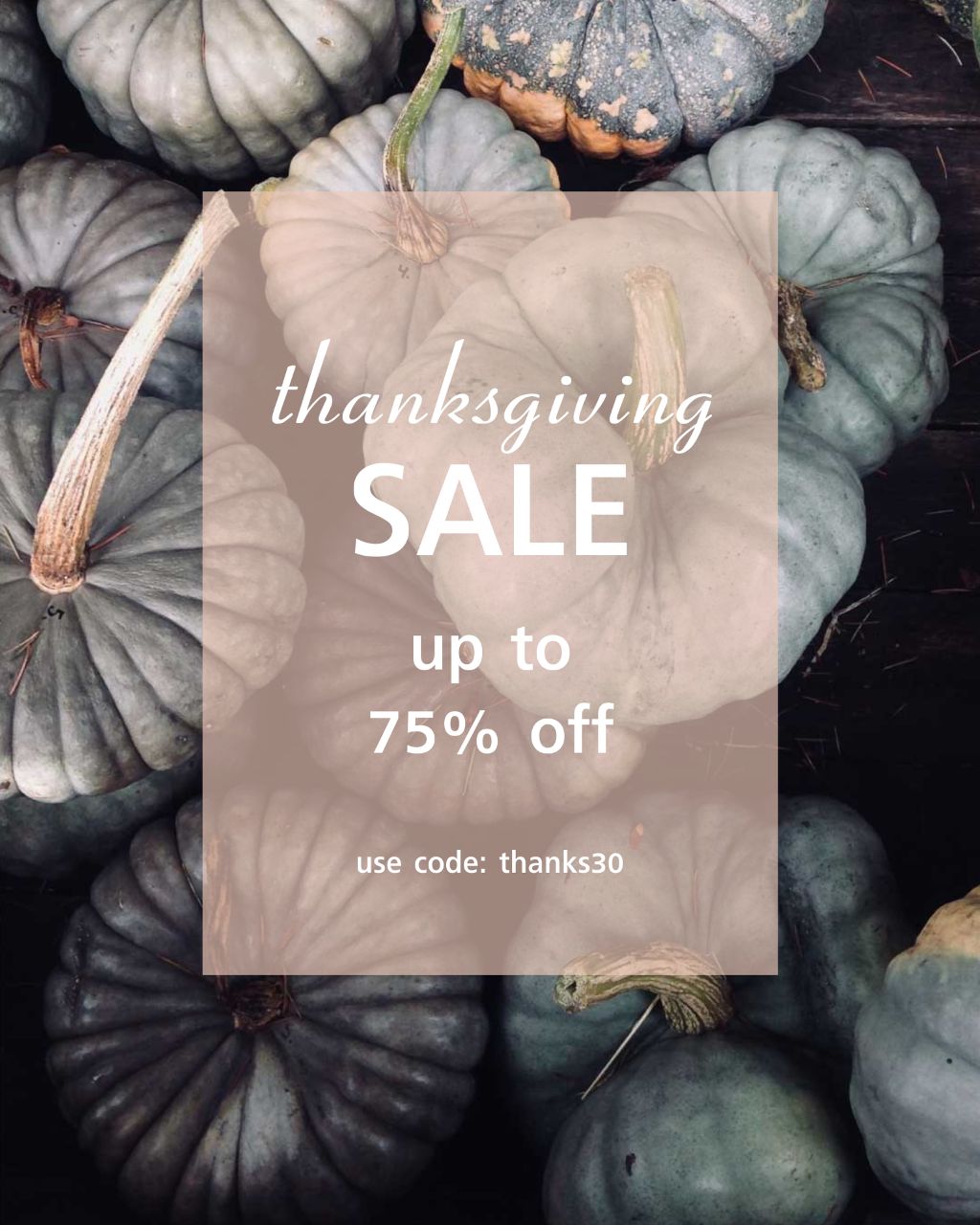 Thanksgiving Sale Ad Pumpkin Spice Colors