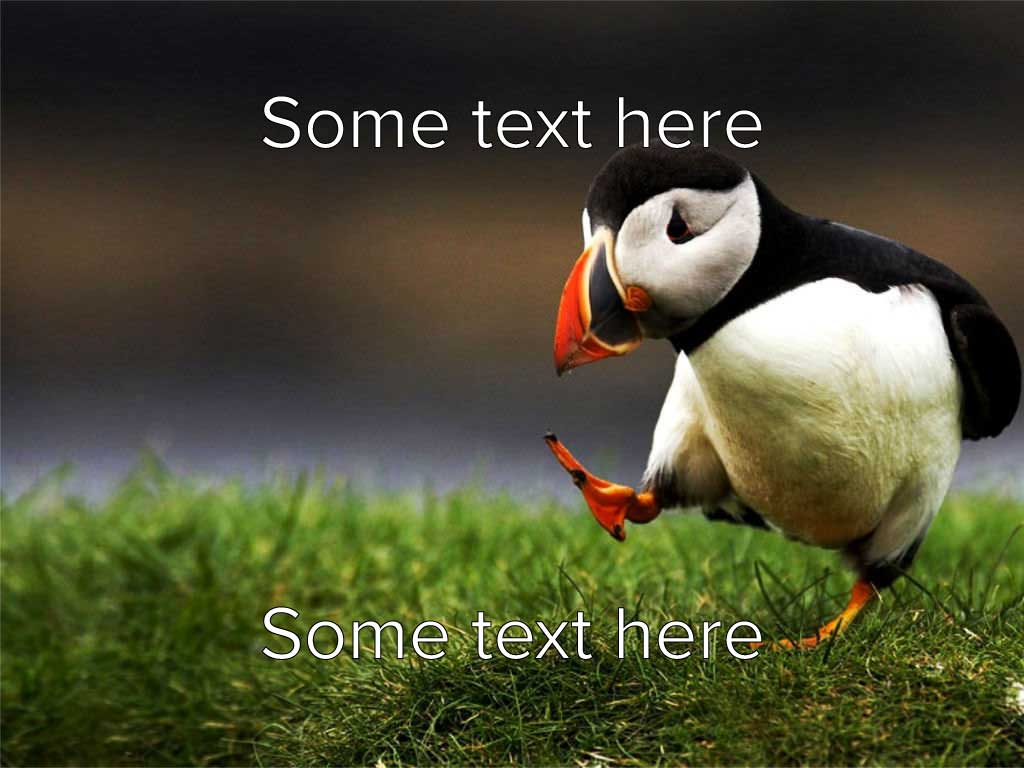 Charming Puffin Social Media Post Green Accent