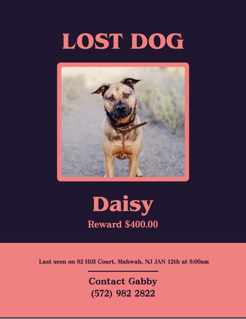 Eye-Catching Lost Dog Poster in Coral and Navy