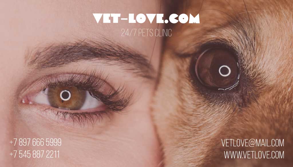 Caring Pet Clinic Advertisement Design with Warm Tones