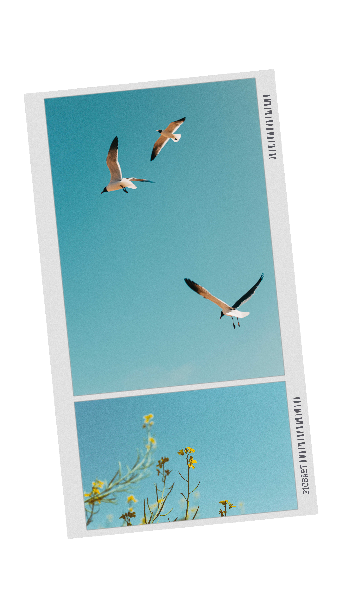 Serene Sky Blue Poster Design Template