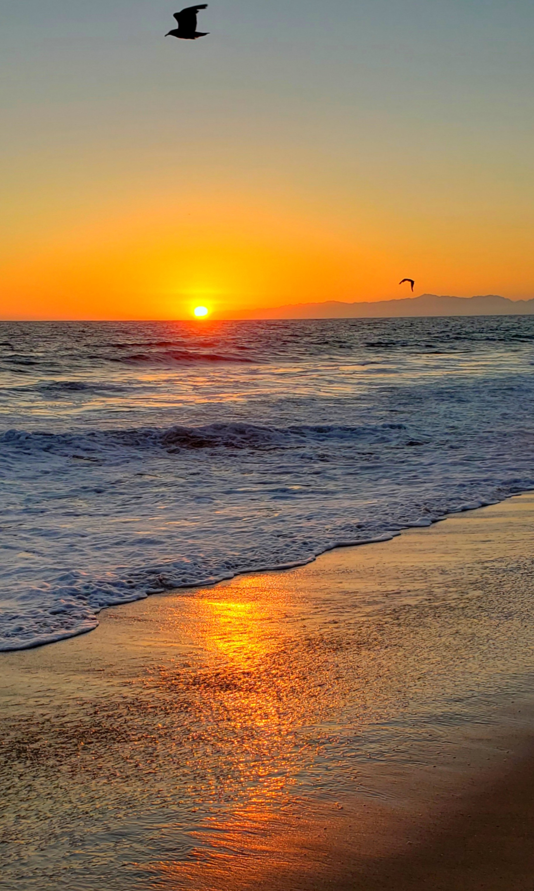 Serene Beach Sunset Social Media Post