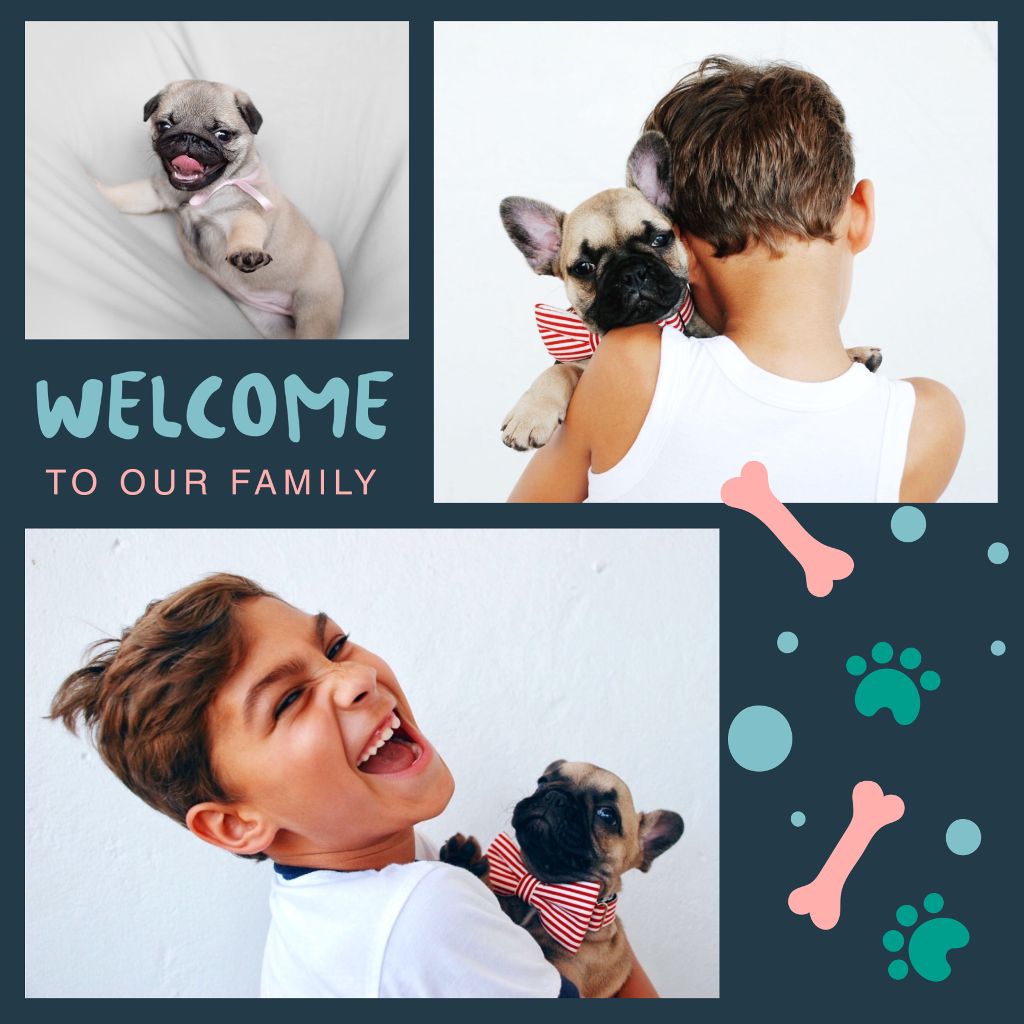 Blue Teal Celebration Puppy Adoption Poster