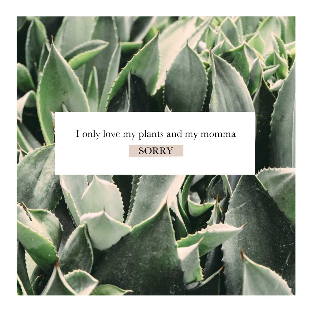 Green Nature Inspired Apology Post Template