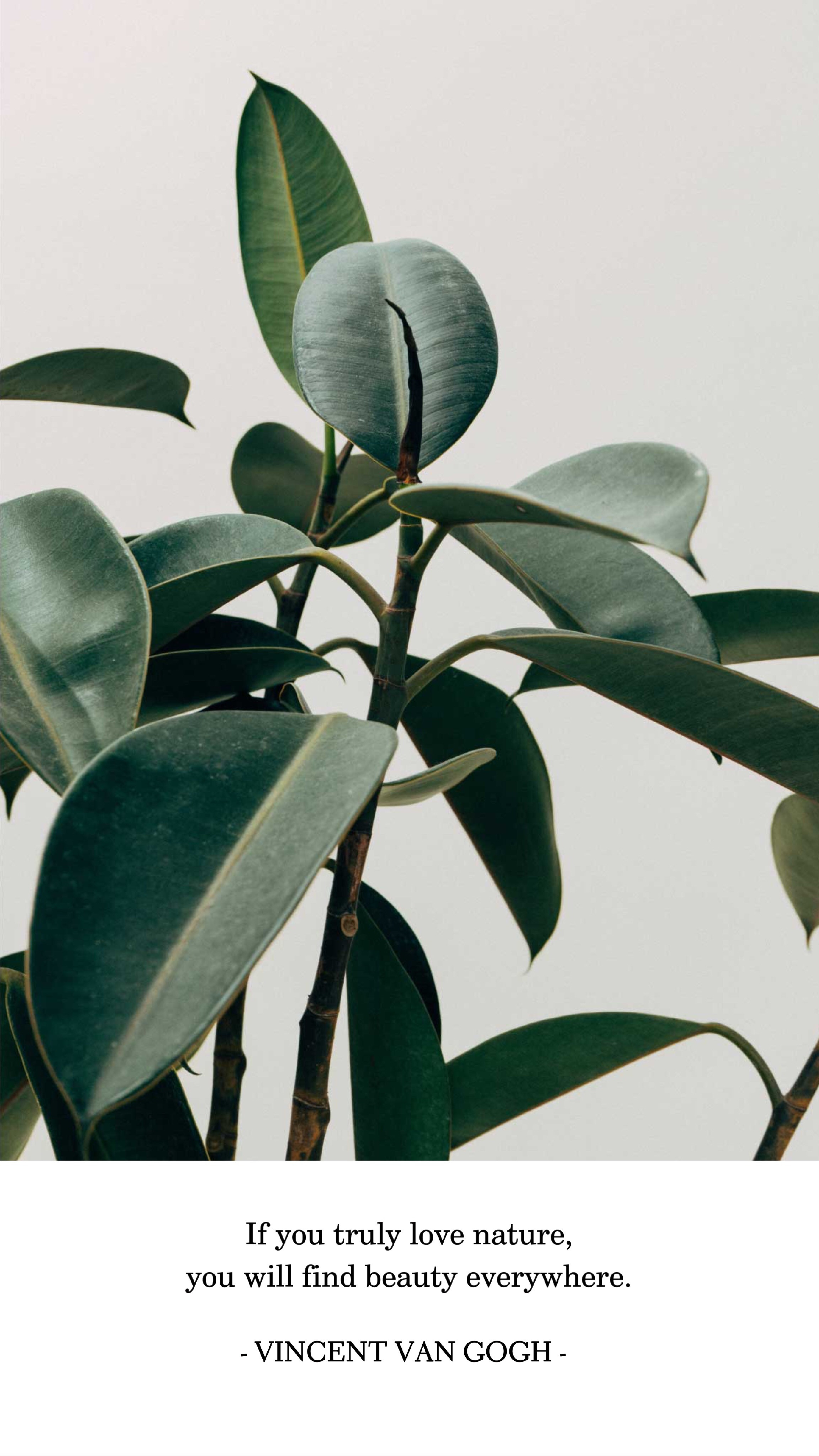 Template Elegant Green Nature Inspiration Poster Design