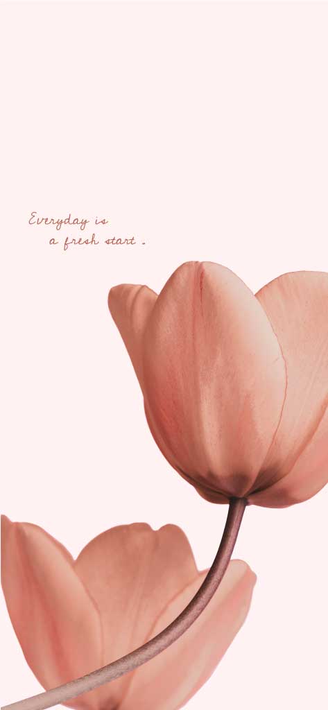 Soft Pink Floral Inspirational Mobile Wallpaper