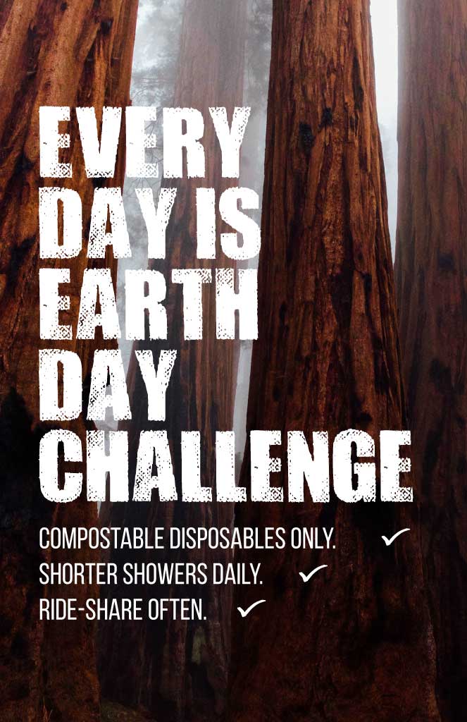 Celebrate Sustainability Earth Day Poster Design