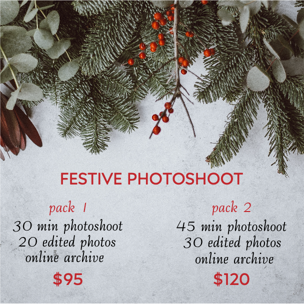 Seasonal Photoshoot Packages Red Green Poster